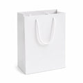 Sac cadeau 20 x 10 x 30 cm en papier blanc à poignées corde - emballage pliable